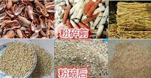 ����ǰ��