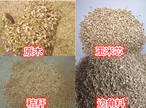 ʳ�þ�������