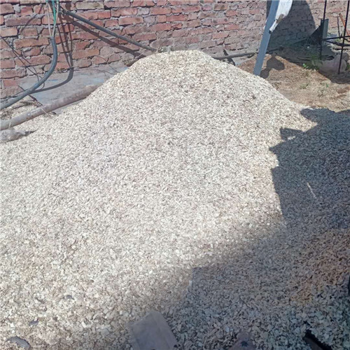 ������ľм