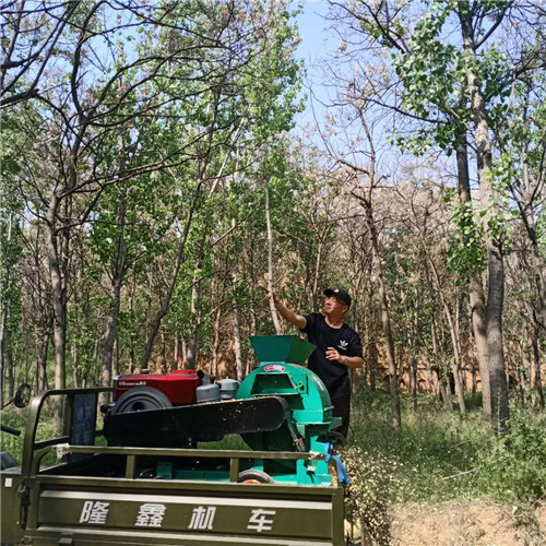 �ƶ�����֦�����  ��֦�������Ƶ