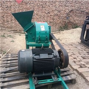 С����֦���������ͼ